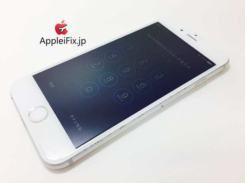 iPhone6 Silver-1_repair_4.jpg