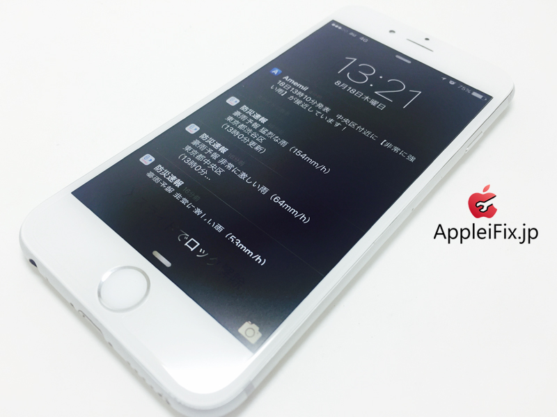 iPhone6 Silver_repair_4.jpg