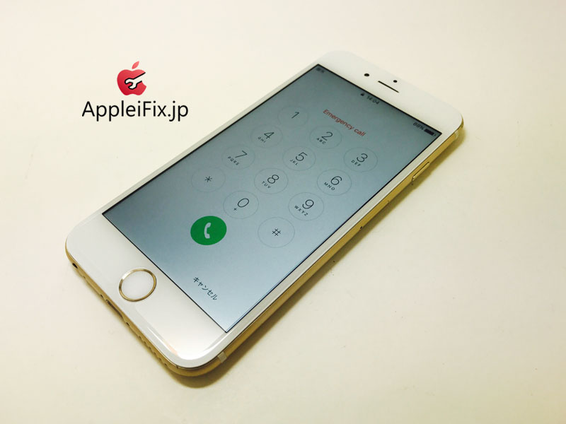 iPhone6 Gold_repair_4.jpg