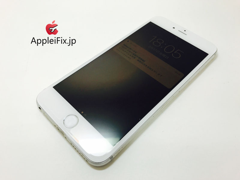 iPhone6 Gold_repair_4.jpg