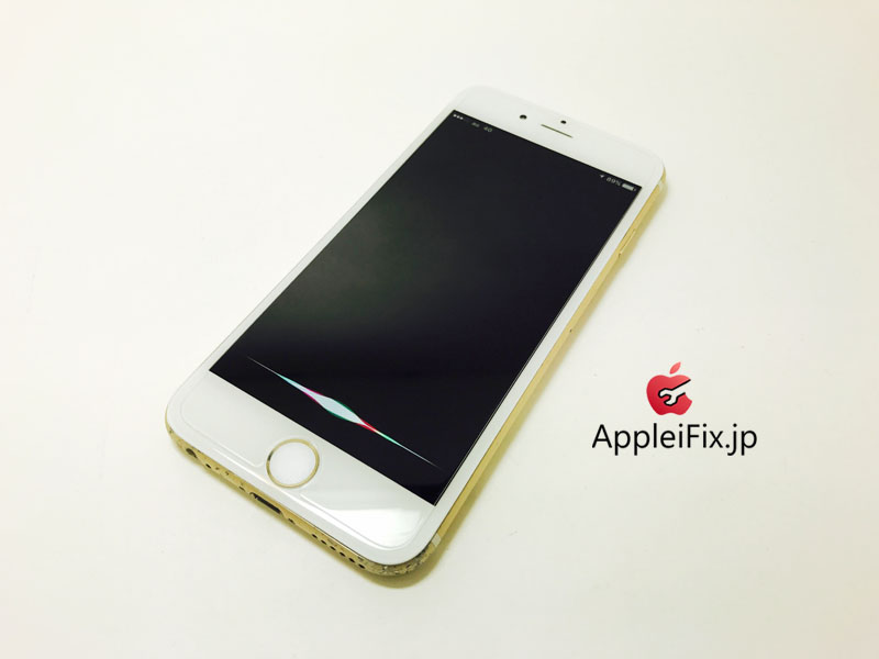 iPhone6 Gold_repair_4.jpg