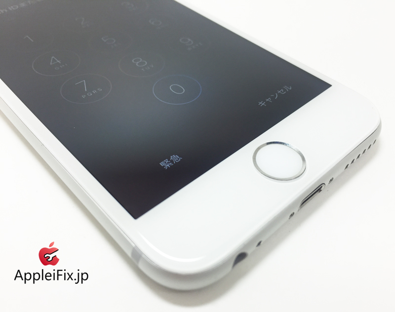 iPhone6 Silver_repair_2.jpg