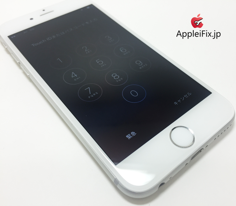 iPhone6 Silver_repair_4.jpg