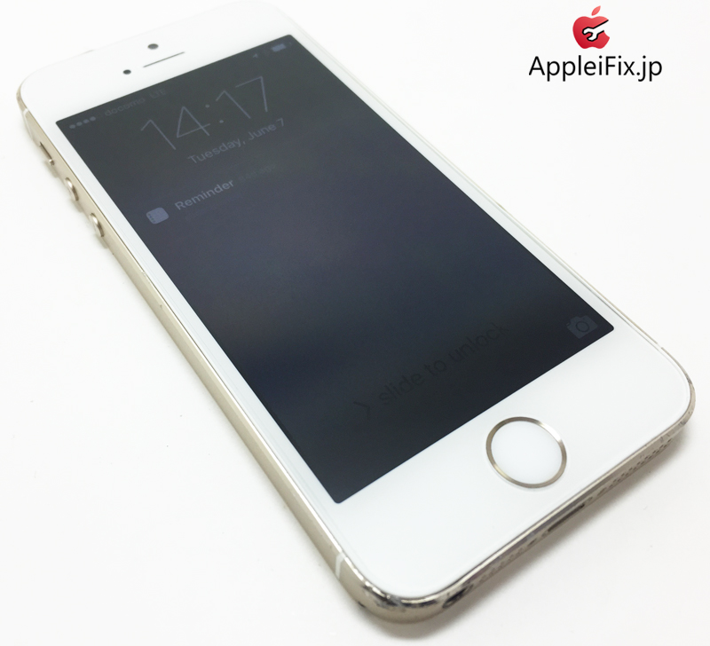 iPhone5S Gold_repair_4.jpg