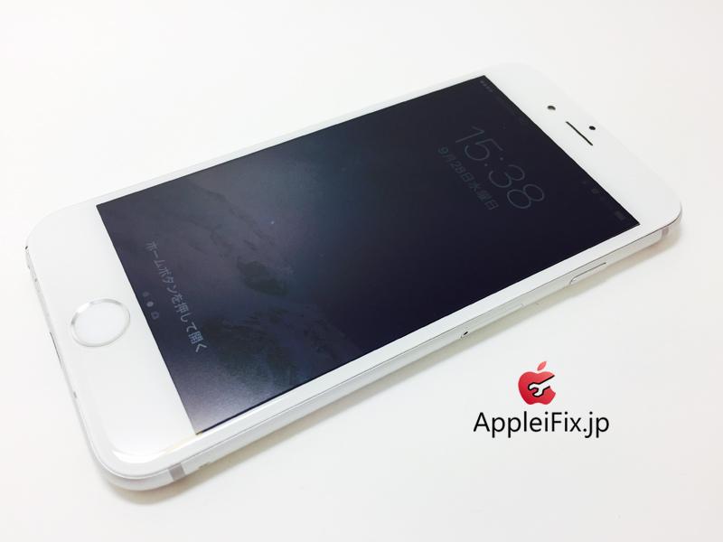 iPhone6 Silver_repair_4.jpg