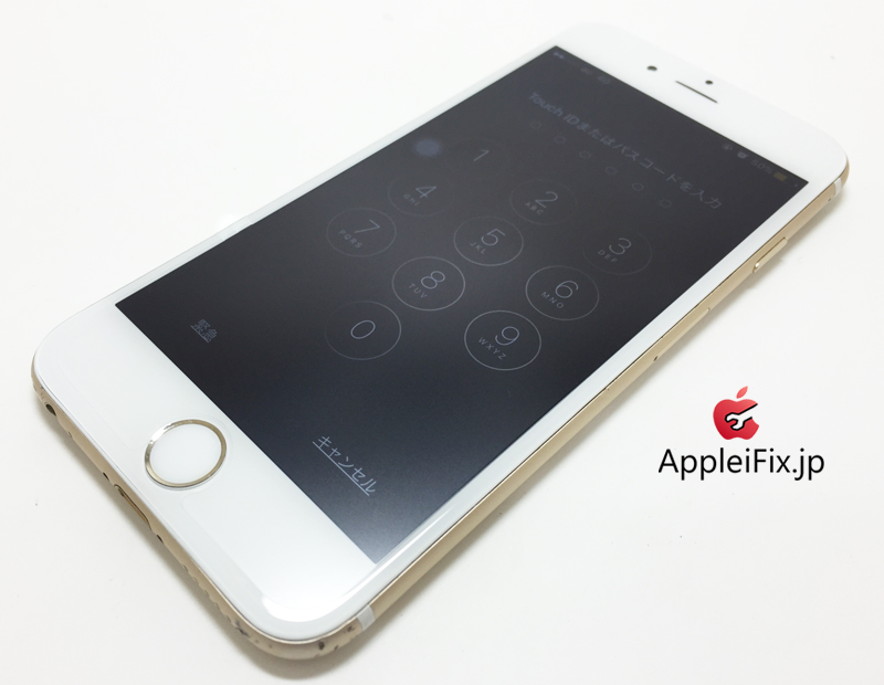 iPhone6 Gold_repair_4.jpg