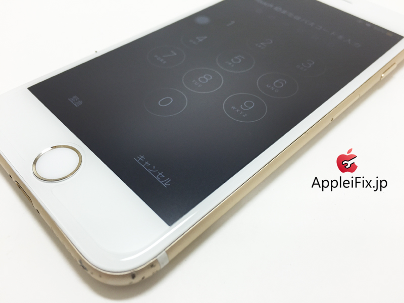 iPhone6 Gold_repair_2.jpg