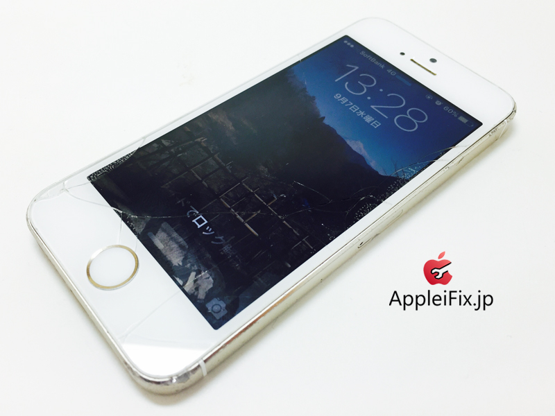 iPhone5S Gold_repair_3.jpg