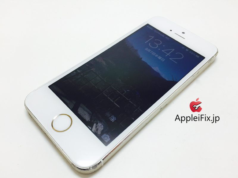 iPhone5S Gold_repair_4.jpg