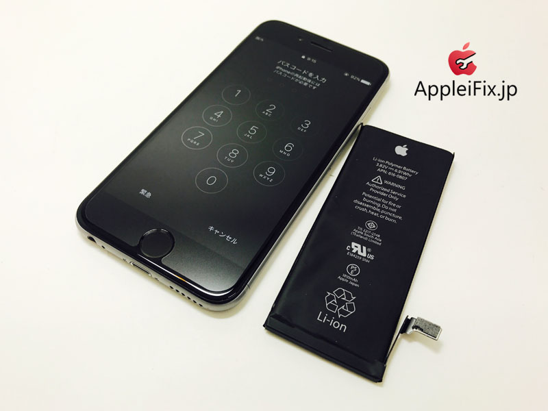 iPhone6 Spacegrey Display&battery_repair_1.jpg