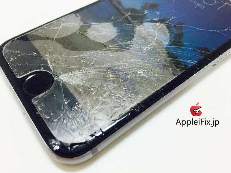 iPhone6 Spacegrey_repair_1.jpg