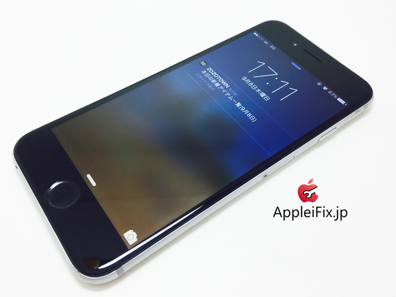 iPhone6 Spacegrey_repair_4.jpg