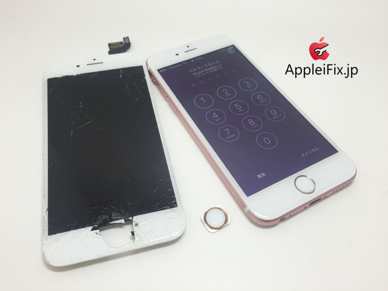 iPhone6S画面交換修理とホームボタンケーブル交換修理_repair_5.jpg