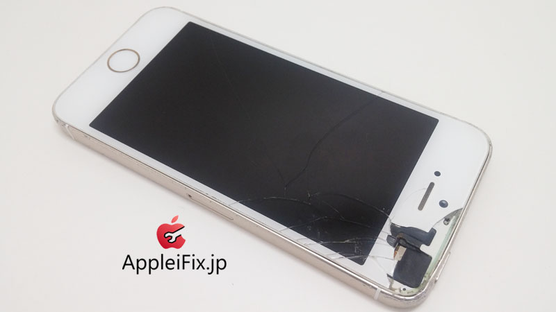 iPhone5S画面交換修理とホームボタンケーブル交換修理_repair_2.jpg