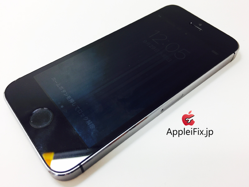 iPhone5S Spacegrey_repair_1.jpg