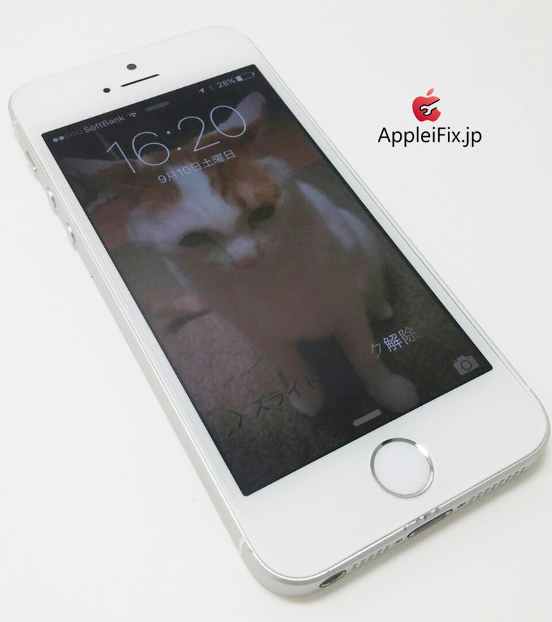 iPhone5S画面交換修理_repair_4.jpg