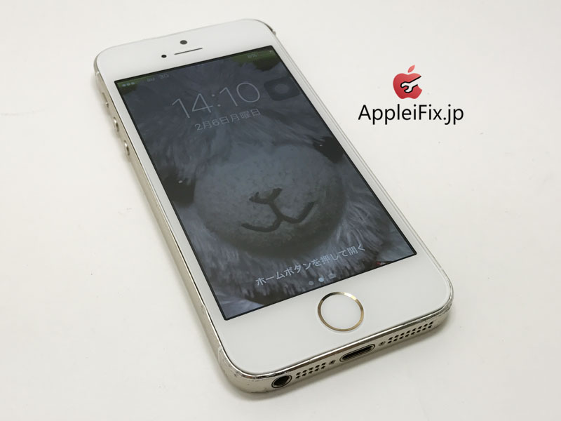 iPhone5Sご自分で修理後失敗してご来店_Repair_2.jpg