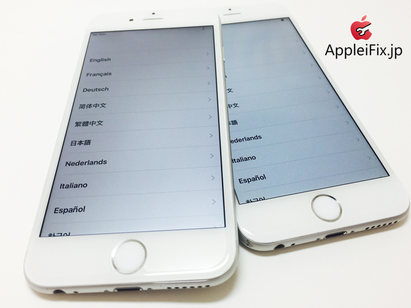 iPhone6 SilverX2_repair_4.jpg