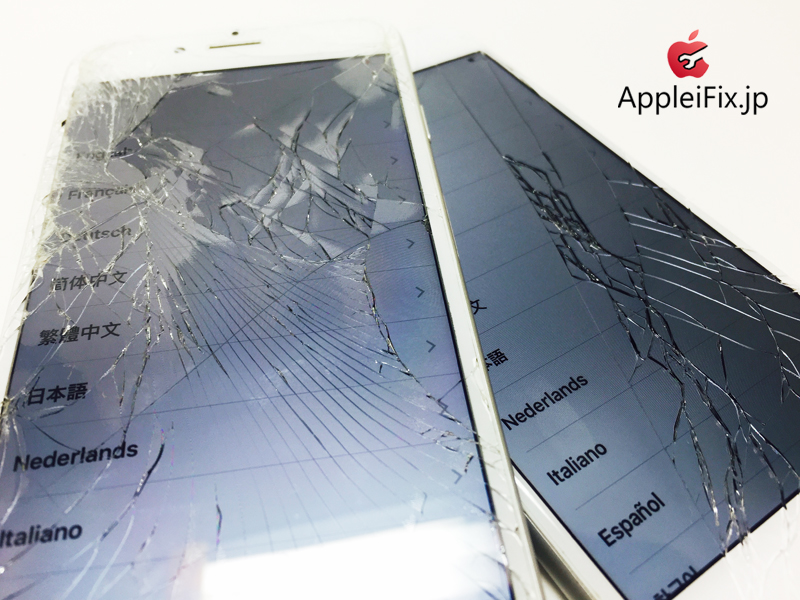 iPhone6 SilverX2_repair_1.jpg