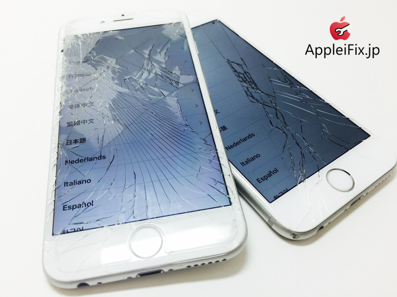 iPhone6 SilverX2_repair_3.jpg