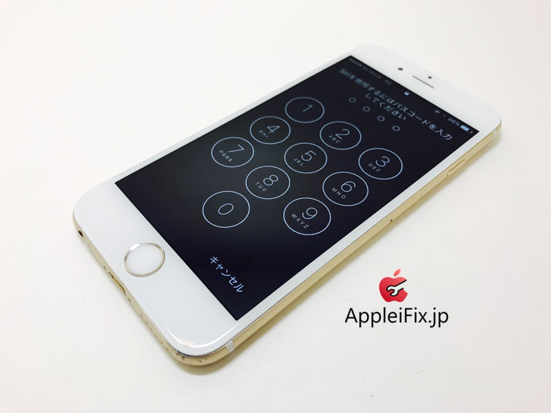 iPhone6 Gold_repair_6.jpg