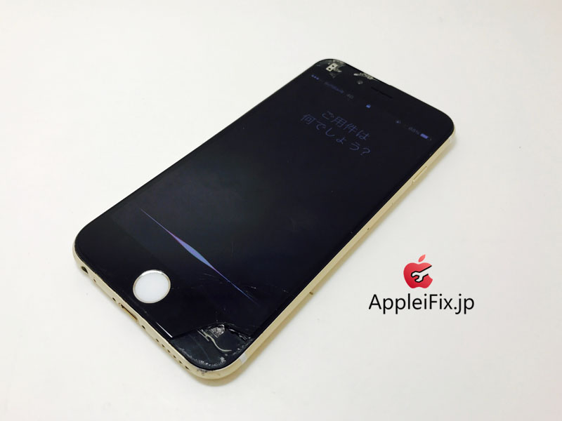 iPhone6 Gold_repair_3.jpg