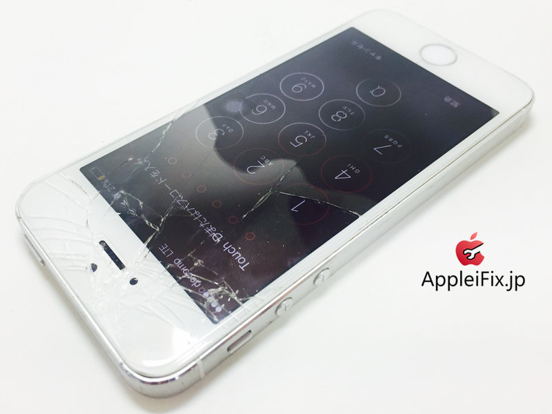 iPhone5S SIlver_repair_3.jpg