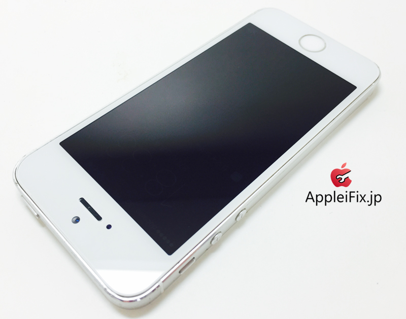 iPhone5S SIlver_repair_4.jpg