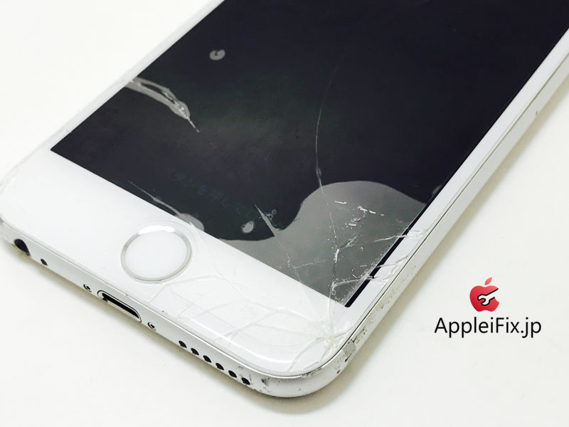 iPhone6 Silver_display_Repair_1.jpg