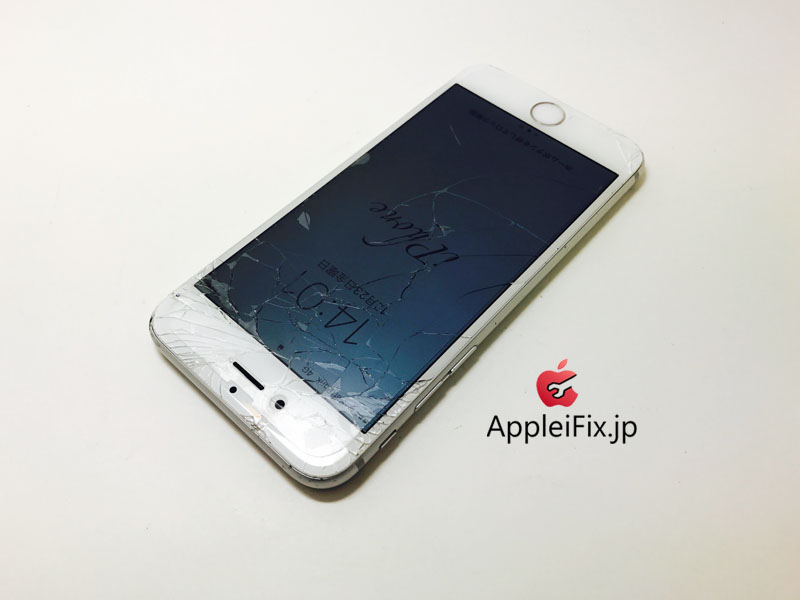 iPhone6 Silver Display&Battery_repair_2.jpg