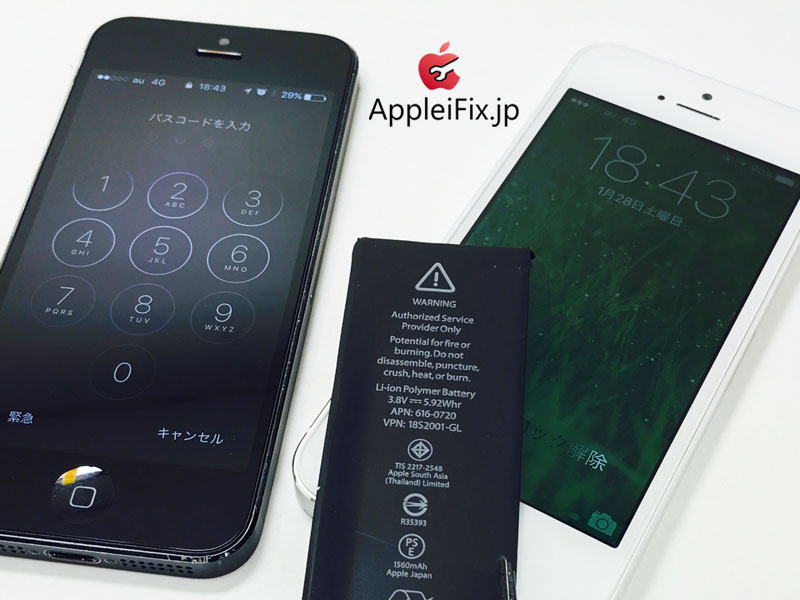 iPhone5 Black Display&iPhone5S Gold Battery_repair_3.jpg