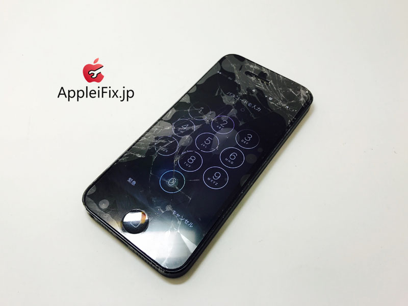 iPhone5 Black Display&iPhone5S Gold Battery_repair_2.jpg