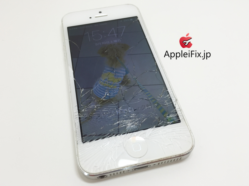 iPhone5シルバー画面交換修理_repair_3.jpg