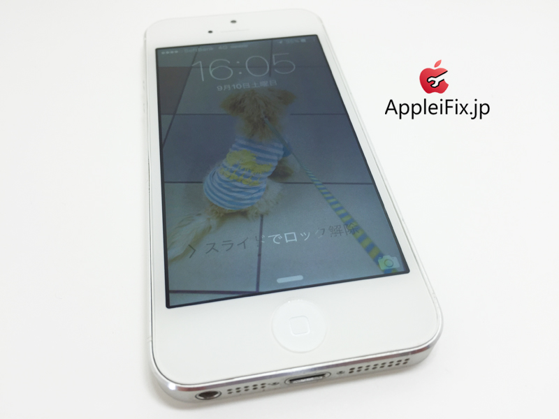 iPhone5シルバー画面交換修理_repair_4.jpg