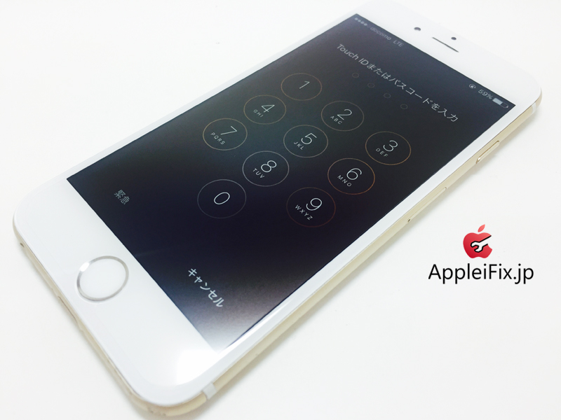 iPhone6 Gold_repair_4.jpg