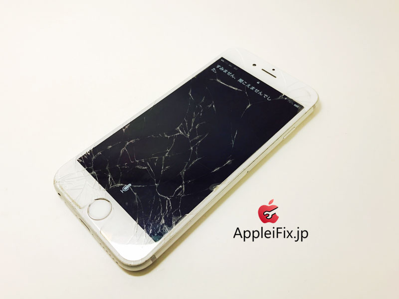 iPhone6 Silver_repair_2.jpg