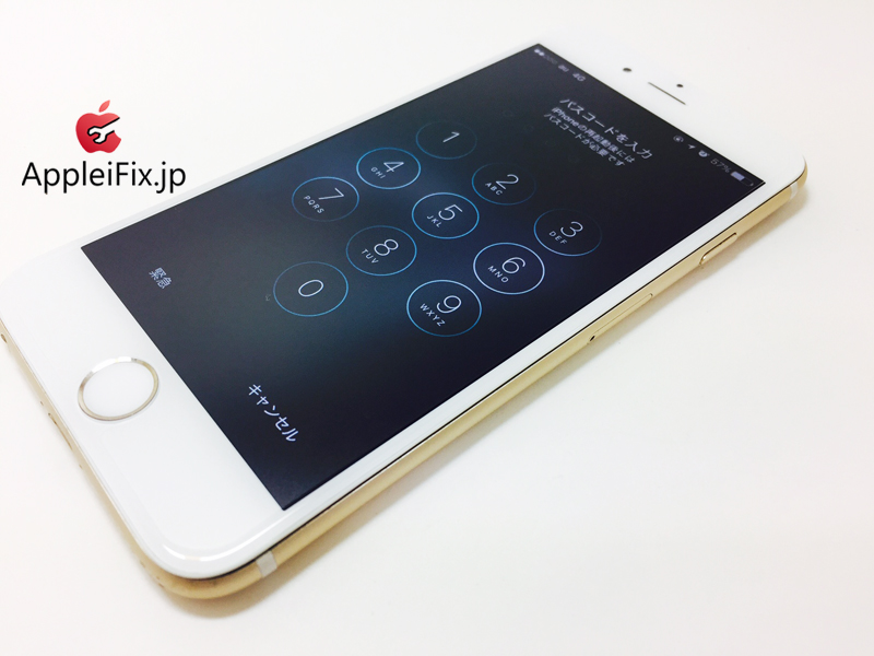 iPhone6 Gold_repair_4.jpg