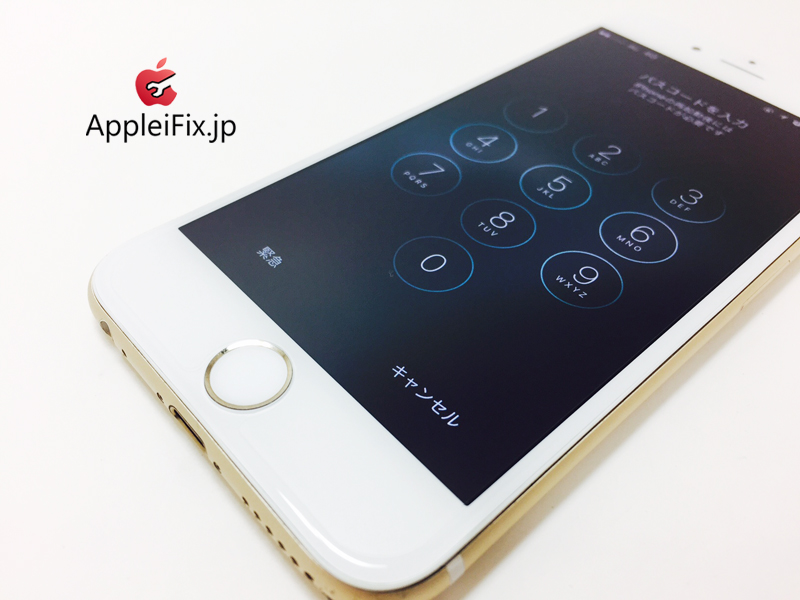 iPhone6 Gold_repair_2.jpg