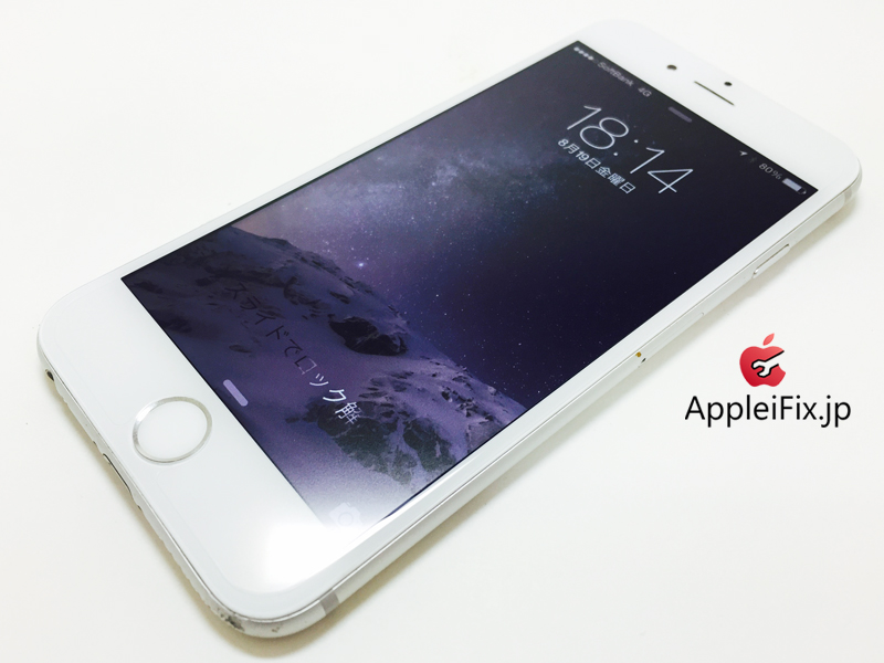 iPhone6 Silver_repair_4.jpg