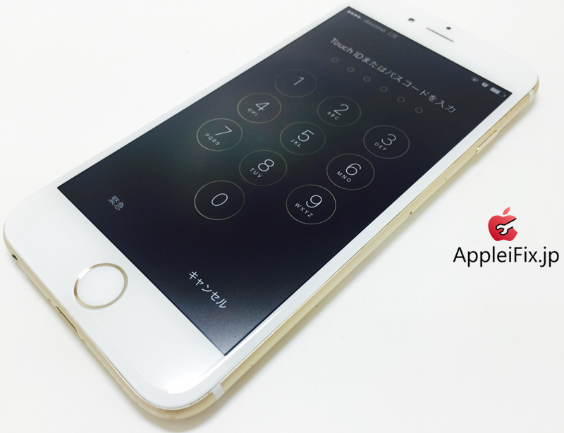 iPhone6 Gold_repair_4.jpg