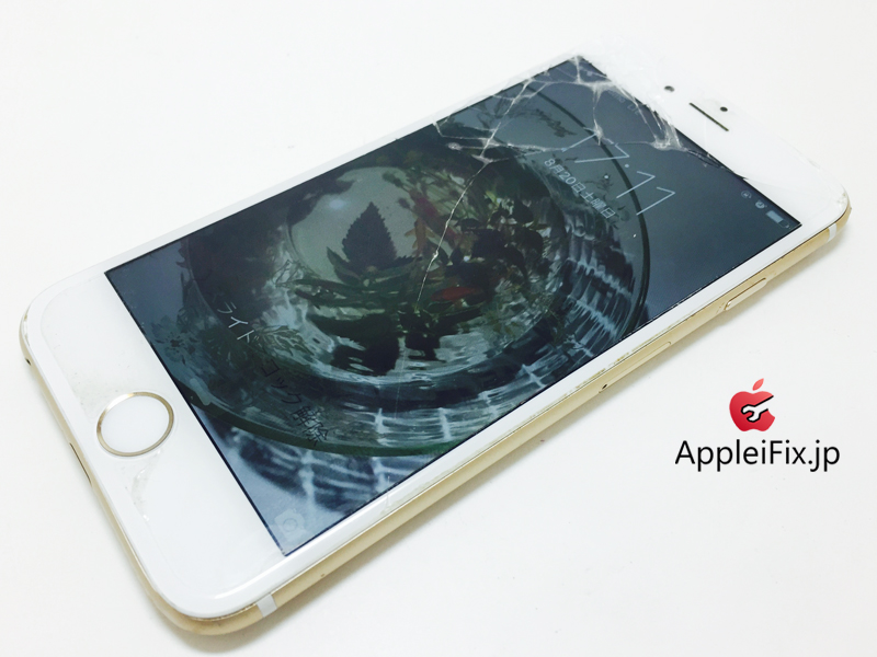 iPhone6 Gold_repair_3.jpg