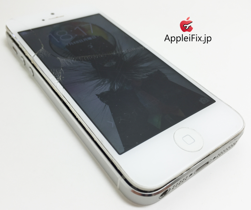 iPhone5バッテリー交換と画面交換修理_repair_3.jpg