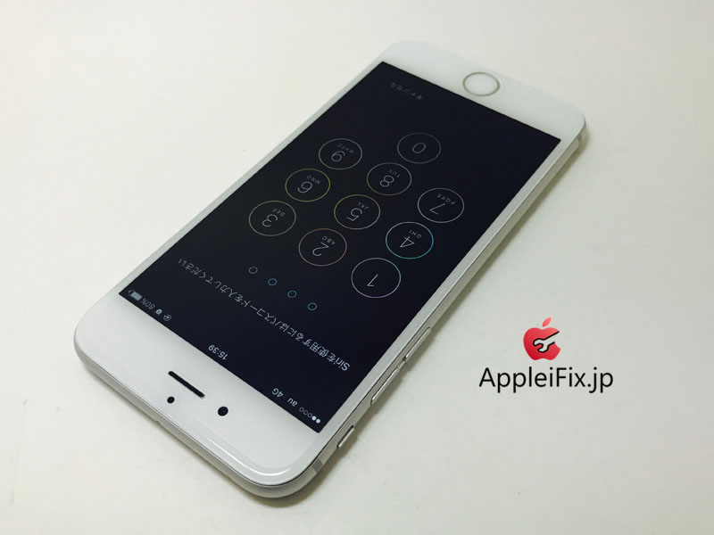 iPhone6 Silver_Repair_4.jpg