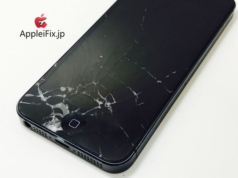 iPhone5 Black_Repair_1.jpg