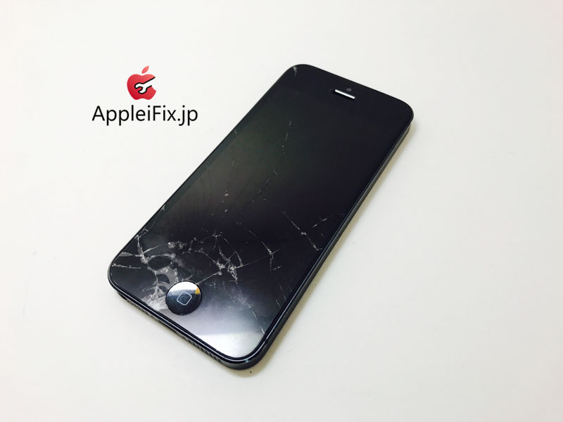 iPhone5 Black_Repair_2.jpg