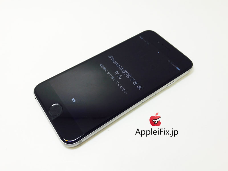 iPhone6 Spacegrey_repair_4.jpg