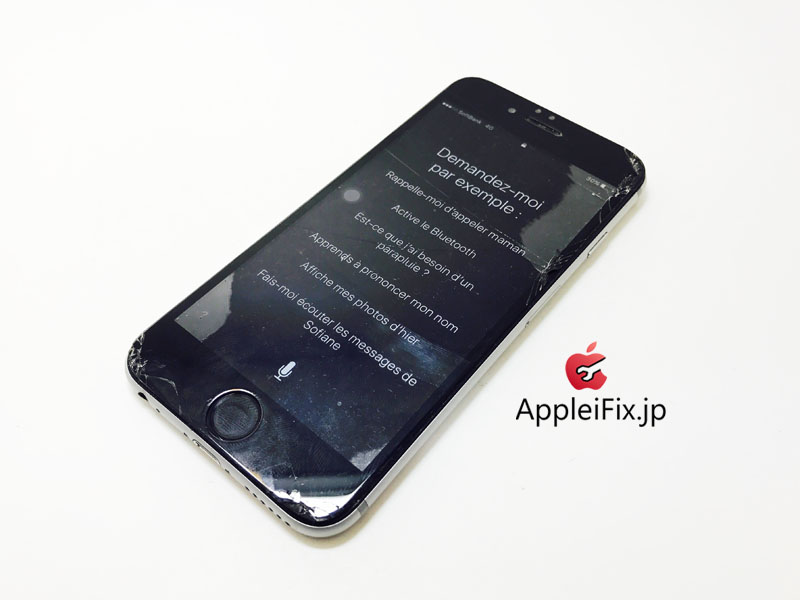 iPhone6 Spacegrey_repair_2.jpg