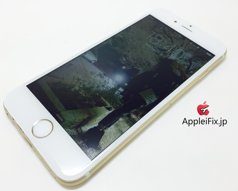 iPhone6 Gold_repair_4.jpg