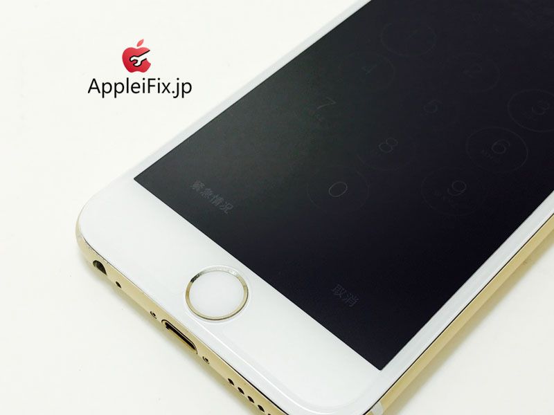 iPhone6 Gold-1_repair_3.jpg