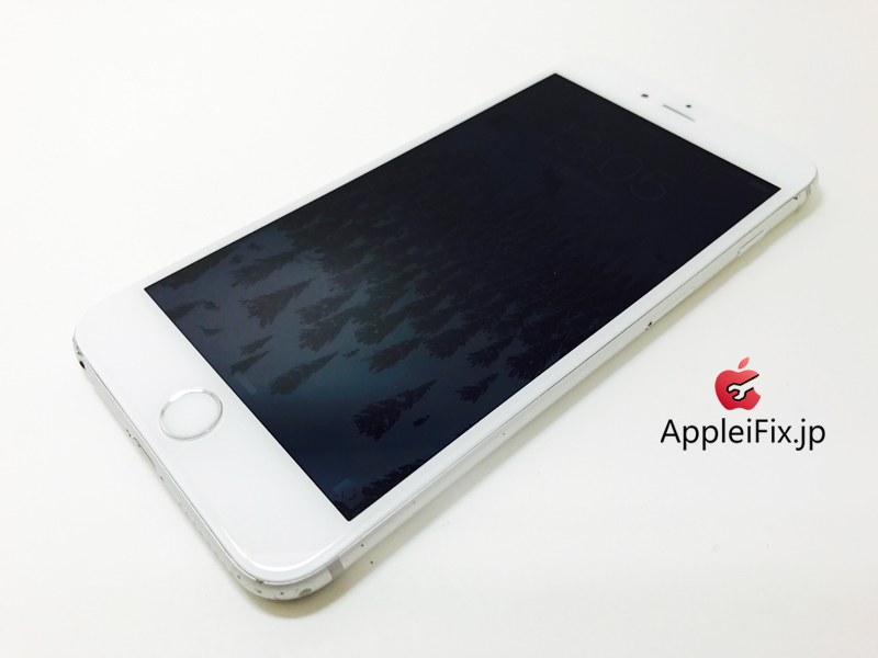 iPhone6 Plus Silver_repair_4.jpg